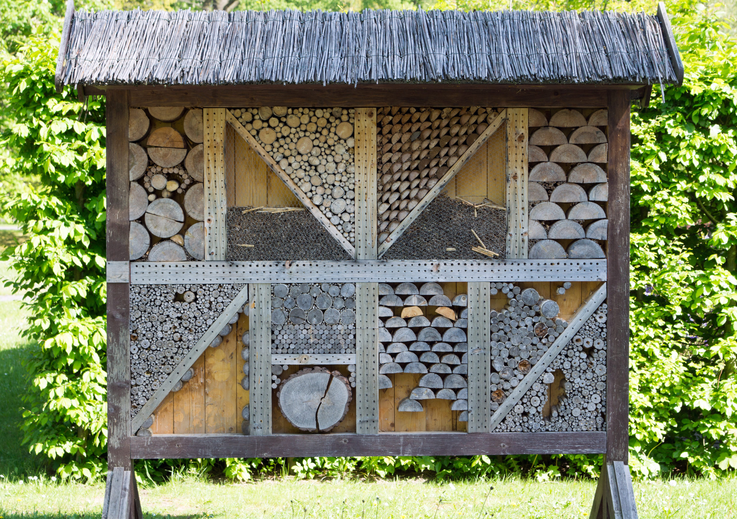Insect_hotel1